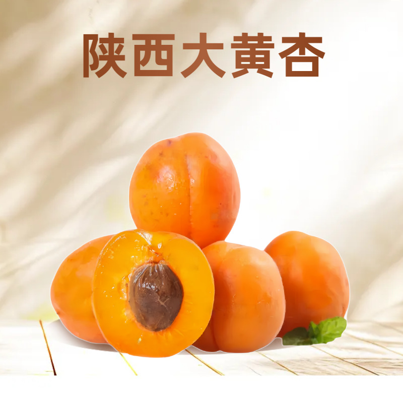 陕西大黄杏子新鲜水果当季特大巨蜜酸甜爆汁杏子整箱果园直发代发