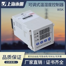 数显温湿度控制器 WSK-Z(TH) 智能全自动 开关柜配电柜除湿防结露