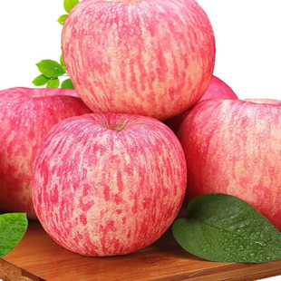 ��̨��ϼ�t��ʿ���r�����O��ˮ��ɽ�|�خa��ʿ�O��������]