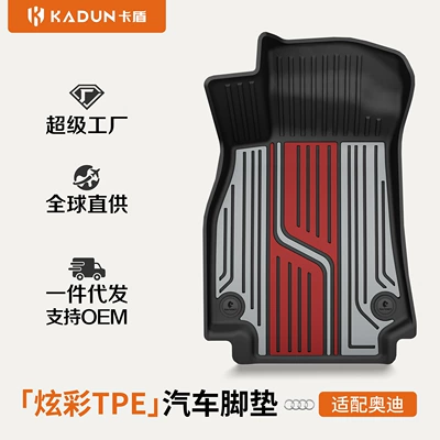 Suitable for Audi A4L A5L A6L A7L Q5L Q3 Q5L Special Car-Specific Colorful Tpe Car Floor Mats