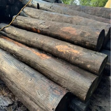 American maple shadow dyed wood bark maple white bolt shadow whitened wood bark European maple shadow straight white mountain blue shadow
