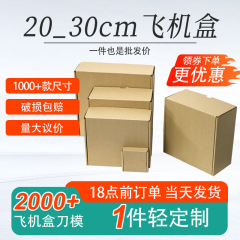 宅配用梱包箱現物三層特硬包装箱原色20センチ30センチ段ボール飛行機箱