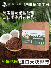 Ҭ�u�I�B���B��ֲ��ͨ�÷N����������Nֲ���M��Ó�}Ҭ����KҮ�u