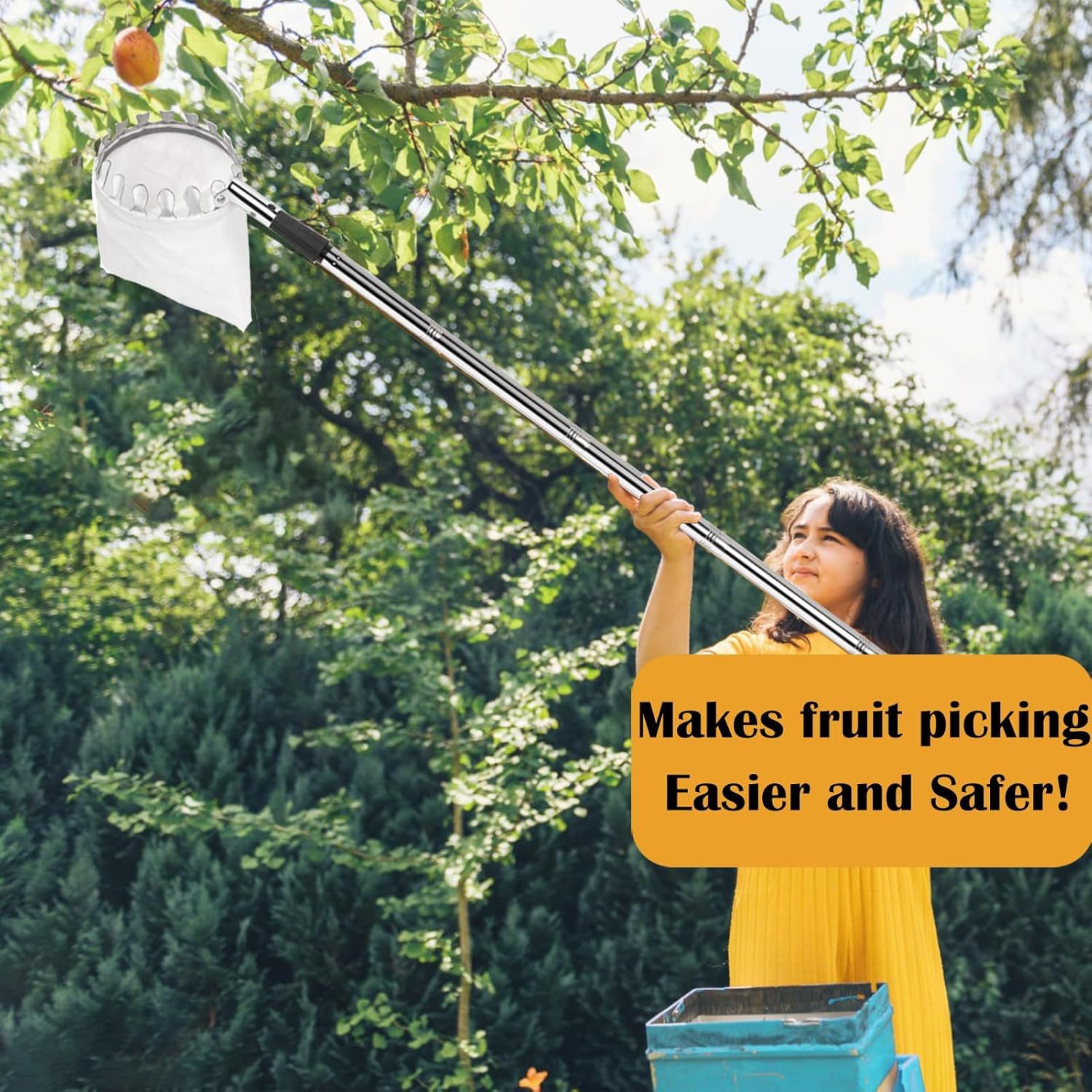 81nwqUXV7OL._AC_SL1500_