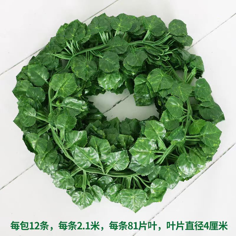 葡萄叶81