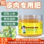 多肉长效种植温和颗粒肥