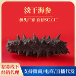 SC资质供应链批发海参干货淡干海参海鲜水产干货国标三级淡干海参