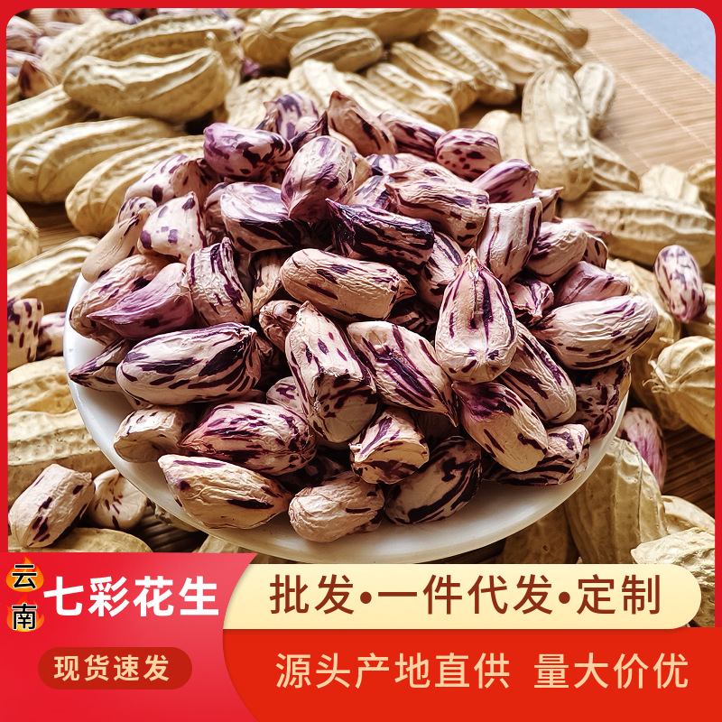产地直供云南七彩花生农家种植带壳生花生水洗代发农产品自产生吃