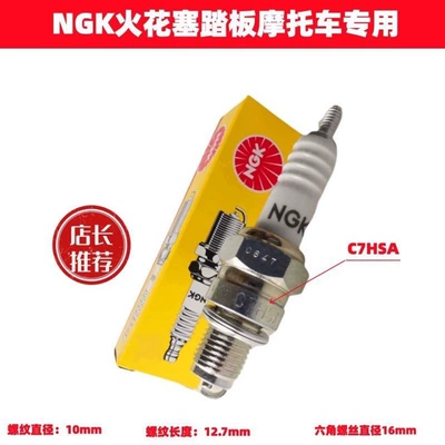 Alışdırma şamı (Sveçalar) plug NGK/C7HSA for