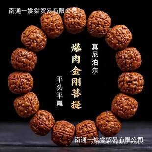 ����������ִ��п�P����鱾����������նY��