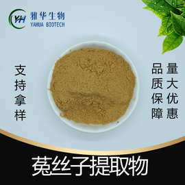 菟丝子提取物 雅华生物 提取皂甙 菟丝子萃取 菟丝子浸膏粉
