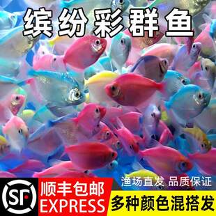 ��ȹ�~Ⱥ���~��ʹ�~�Ꭷ�^�p�~��ˮС���B���~���ǽ��~���~��ȸ�~