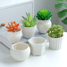 ���s��ɫ���⻨���մɽM�����������ƈ@ˇС����羳���l���Q����