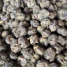 ���r�����ЙC�߹�ݩ�j�V���ͽ����خa����ֱ�l�����R������