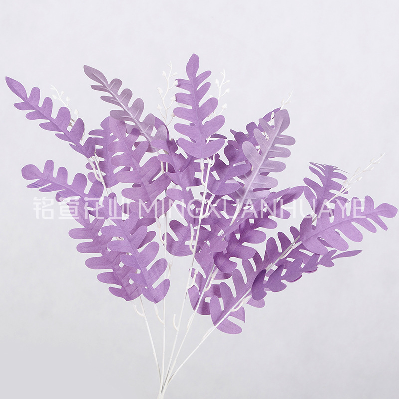 보라색 - 아카시아 잎 다발