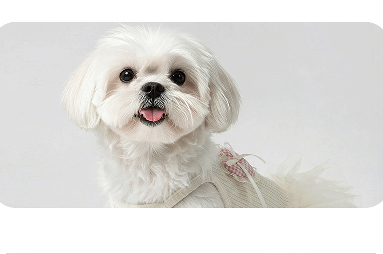 Robe d'été pour chien et chat en dentelle anti-poils_voghion.com
