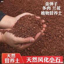 四川风化石金弹子兰花多肉生根营养土酸性土渗水石红土颗粒