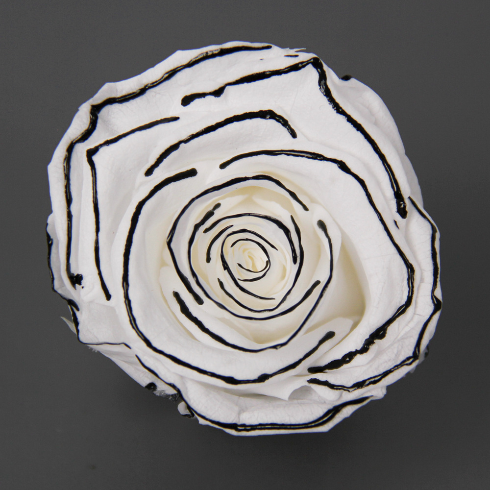 Grado una flor eterna pequeña fragancia Rosa fragancia serie de canciones Borde negro Rosa delineador de ojos flor seca floral caja de regalo de enseñanza ramo