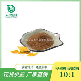 西安天本 桦树叶提取物10：1桦树叶黄酮水溶性 喷雾干燥 厂家批发