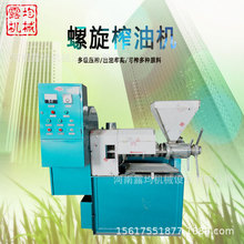 油坊全自动榨油机 大型商用花生油榨油机 中型榨油机多少钱一台