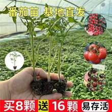 ������N�Ӵ����t���N�Ѳ��������߲���С��������ǧ���}Ů������