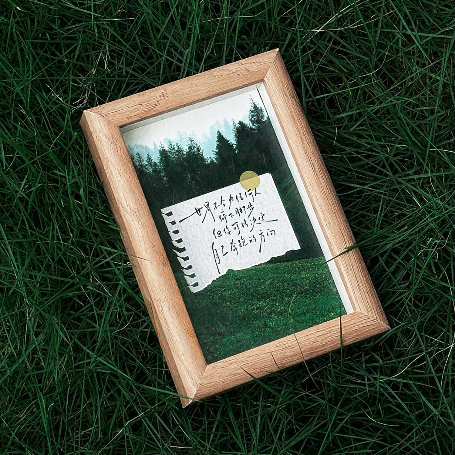 Las postales en caja de Mo Mo comienzan a sentir la felicidad y el paisaje fresco de los días normales, tarjetas de decoración de mensajes