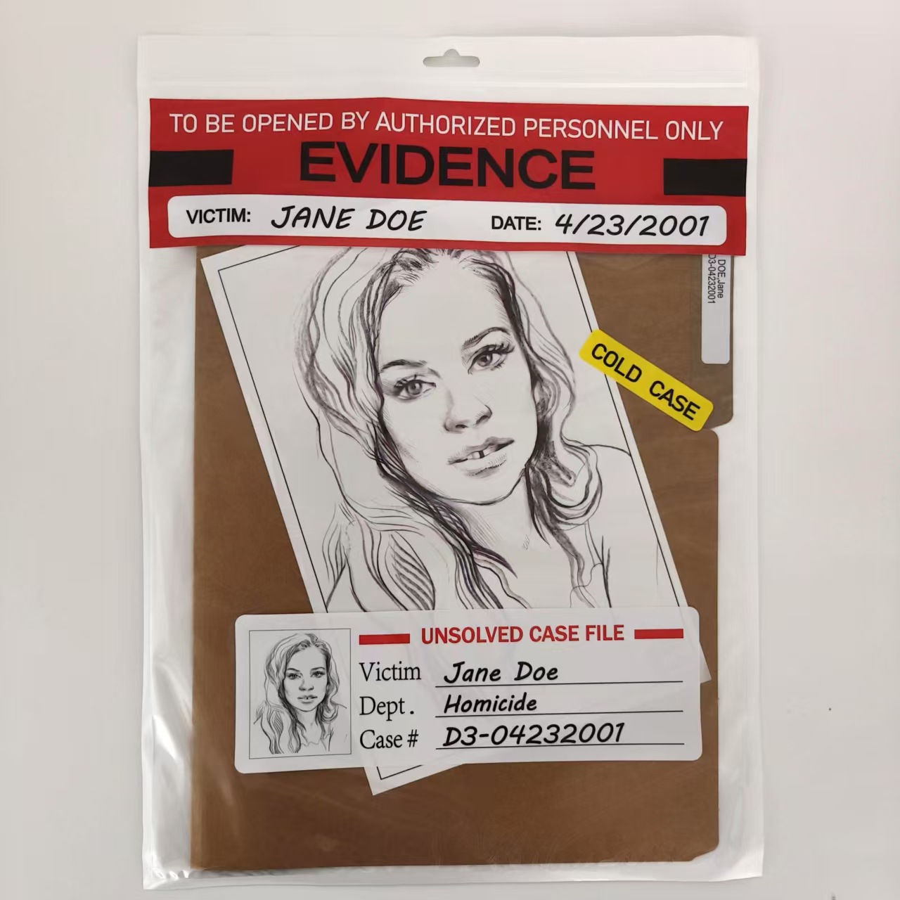 Cold Case Unsolved Case File Doe, Jane Cold Case Murder Puzzle Game...