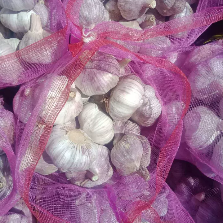 大蒜工厂长期供应4.5cm5cm5.5cm~6.5cm普白纯白新鲜多瓣优质
