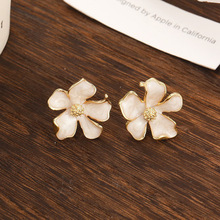 ʽͬmŵԟoAŮ߼аɫdӻl