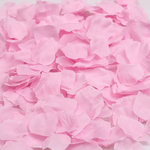 Fuchsia, 800 pieces