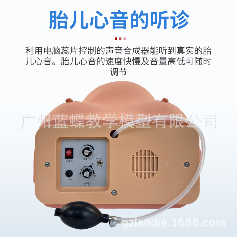 �߼������и����ģ�Ϳ���̥���Ķθ�������̥����������ѵ��ģ��