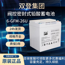 ˫������6-GFM-26/40/50/55/100/120 12V100AH ֱ���� UPS��Դ