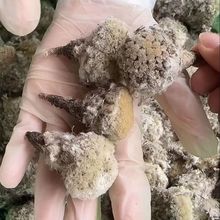 ���؅^ɽ؛��ѩɏ��50-250�� �ɻ� ����ɽ؛���a