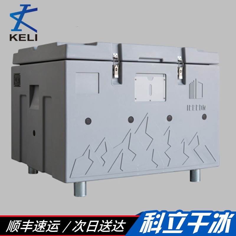 专业生产干冰专用储存箱  结实耐用pe大号带提手便携干冰保温箱
