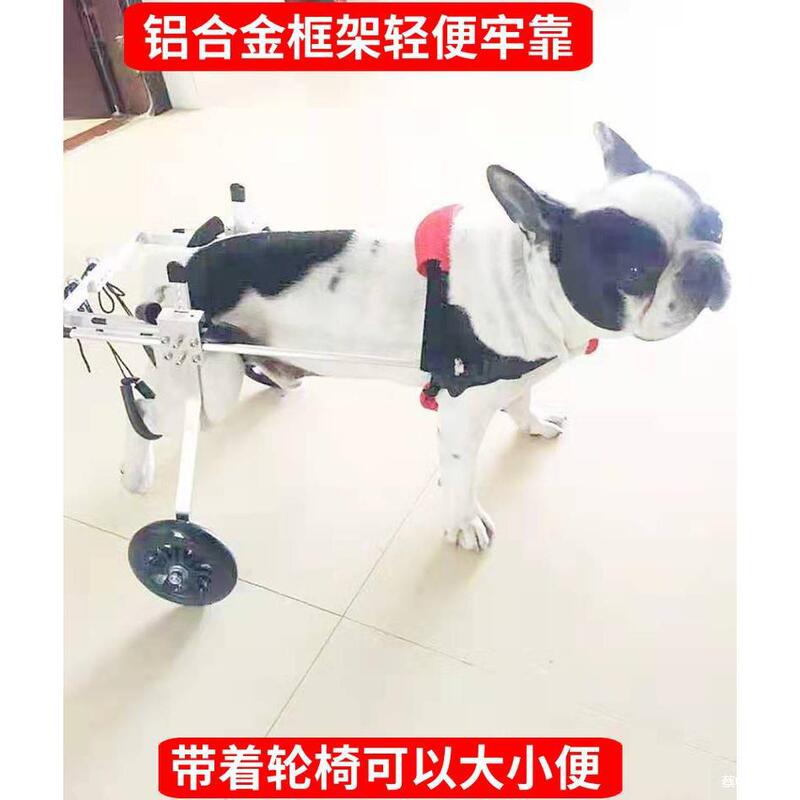 Dog Wheelchair for Hind Limb Paralysis, Pet Mobility Aid, Disabled Spine, Injured Hind Legs, Lightweight for Dogs Like Teddy and Farm Dogs