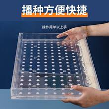 ���Nˮ�����P��������������P���N����P�����߲˲��N�C