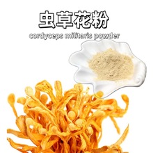虫草生粉Cordyceps细粉 北虫草花粉原料制作虫草现货大量中草药