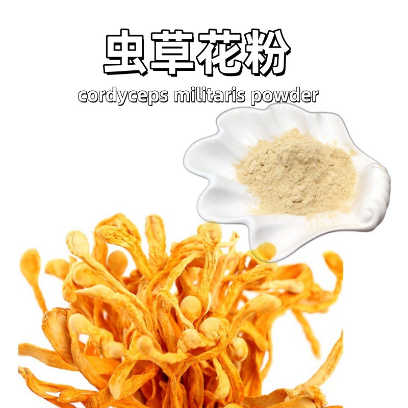 虫草生粉Cordyceps细粉 北虫草花粉原料制作虫草现货大量中草药