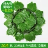 Extra large 20 leaves tablet grape leaves (12 packs)