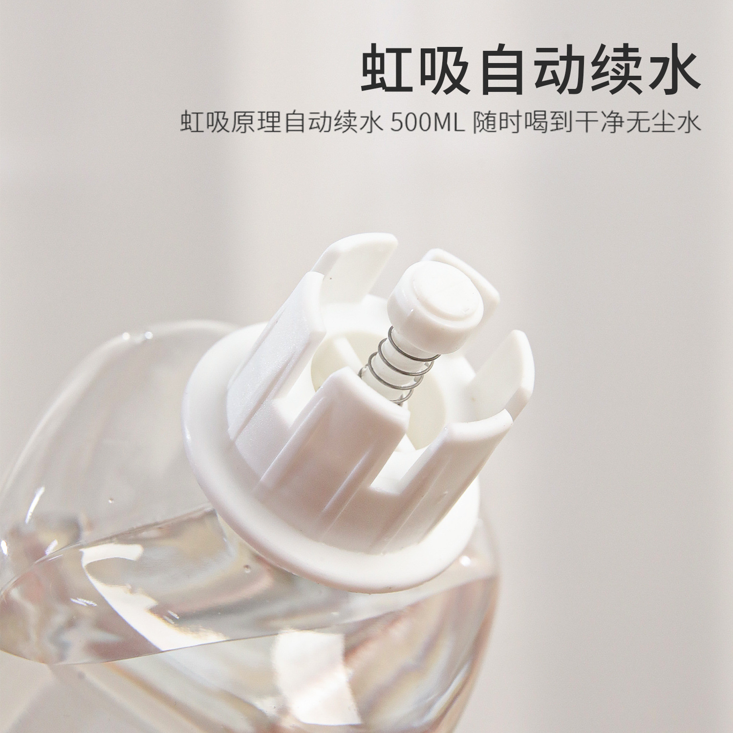 Cat Bowl Spot Portable Pipi Tao Little Cloud Combinación de acero inoxidable Tazón doble para mascotas Alimentación Agua Tazón para mascotas