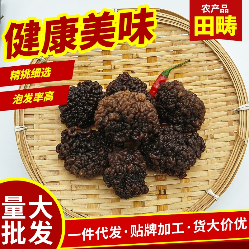 Мозг обезьяны гриб мозг обезьяны сухие товары отель новые ингредиенты мозг обезьяны гриб долгосрочные поставки производители продают