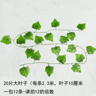 정책 잎