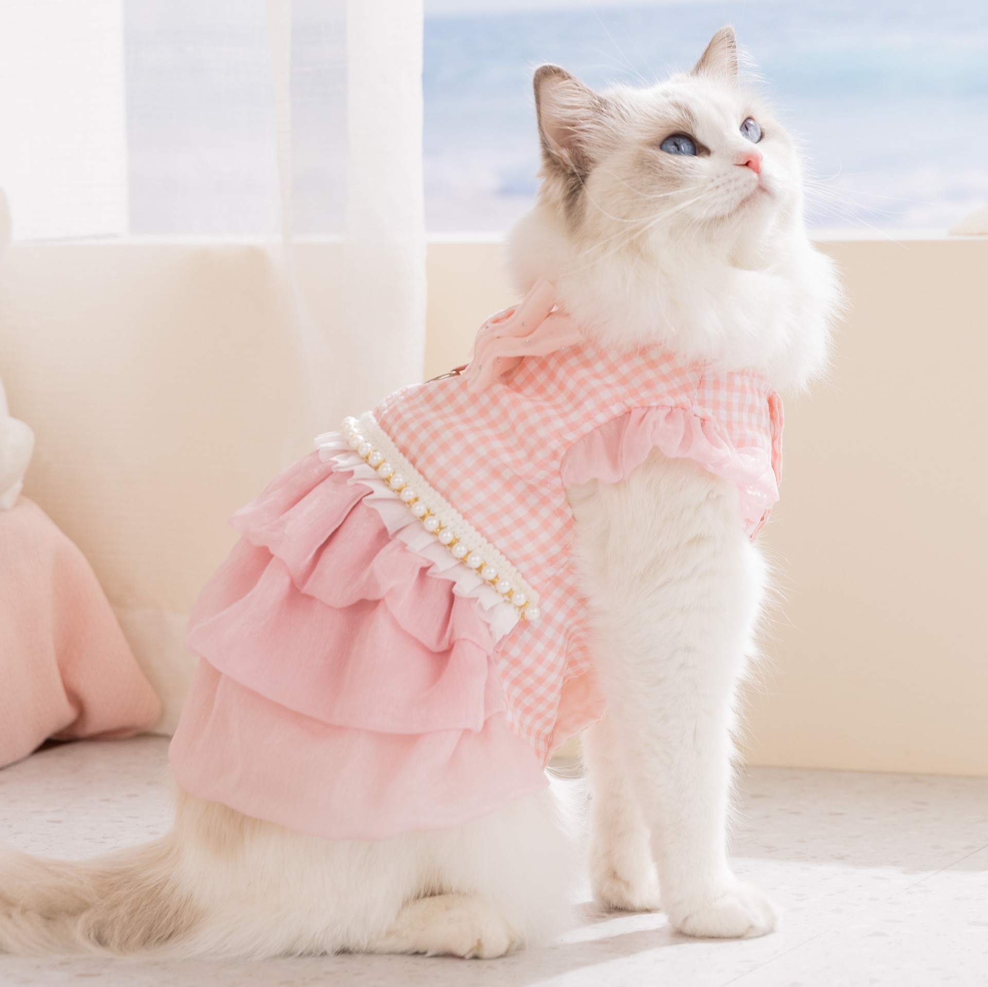 26 años primavera y verano gatos encaje arco transpirable vestido delgado vestido de verano gato ropa de perro ropa de mascotas