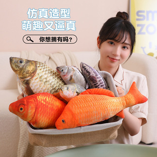 �����~����ë�q��ߺ��~�����a�~��ż�������~��ż��Ů��ͯ�Y��