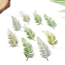 �\�G�u׃�����Pβާ�~�� �ֹ��ػ���޹�л�ˇ�c�Y���������~Ƭ