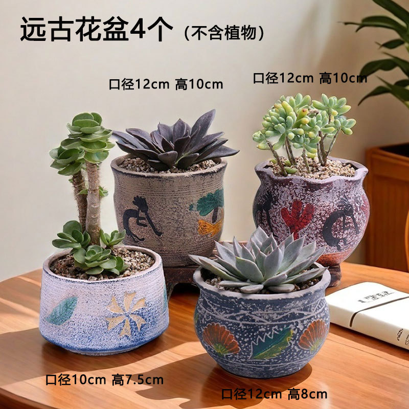 No. 24 Maceta mediana mediterránea suculentas Venta directa de fábrica Cerámica de carne Lavabo especial de cerámica roja retro Liquidación al por mayor