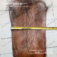 棕树皮棕衣棕毛棕榈衣棕丝棕片棕皮装饰绿萝棒椰棕棒茅屋用其他