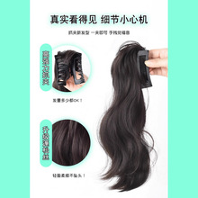 �ٰl�RβŮ�p�ӷ���l����nϵ���~�A�Rβ���l�������Rβ�ٰlץ�A