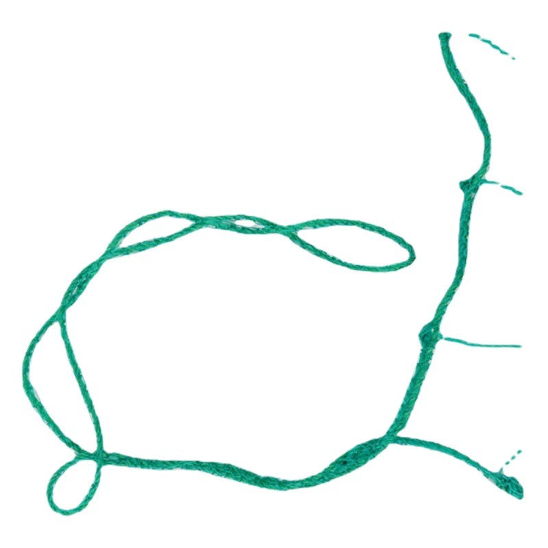 Трансграничный источник растения альпинистская сетка зеленая Садоводство Бытовая пассион виноград шелк огурец класс альпинистская сетка