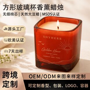 �W���羳���β�������޹Ϟ�T �����ͶY���ϞOEM�ɶ���LOGO��Ϟ